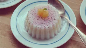 Coconut Pudding with Sago