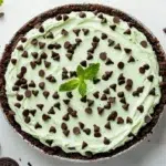 Mint Chocolate Chip No-Bake Pie